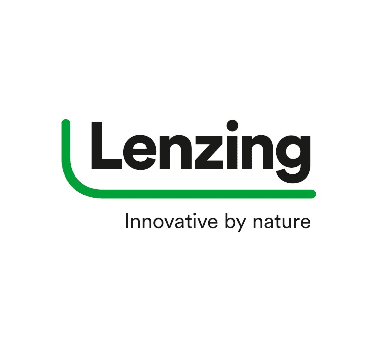 LENZING AG NPV