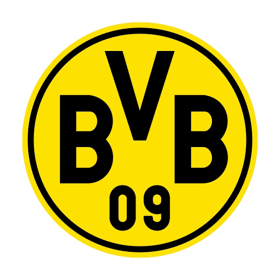 Borussia Dortmund GmbH &Co .KGaA (BVB)