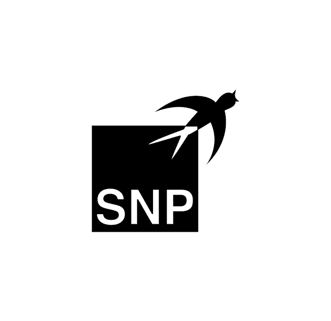SNP Schneider-Neureither & Partner AG