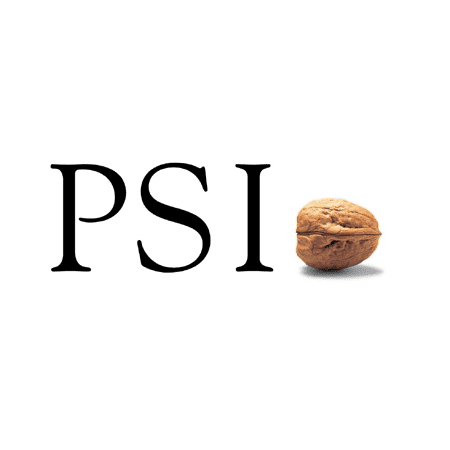 PSI Software SE