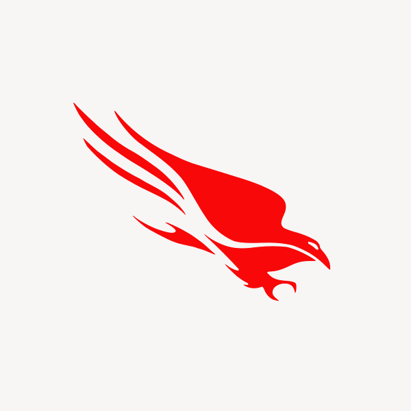 CrowdStrike vor Q1-Zahlen: Aktie fällt trotz Rally – Entscheidend ist jetzt die ARR-Guidance