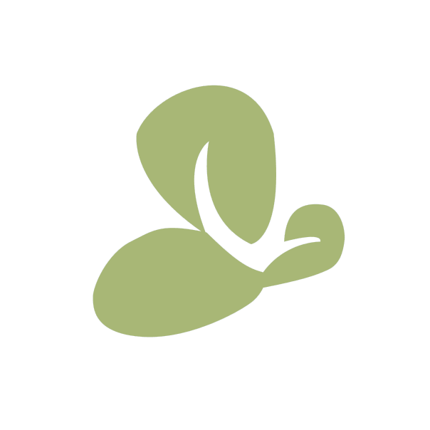 Orchid Island Capital Inc.