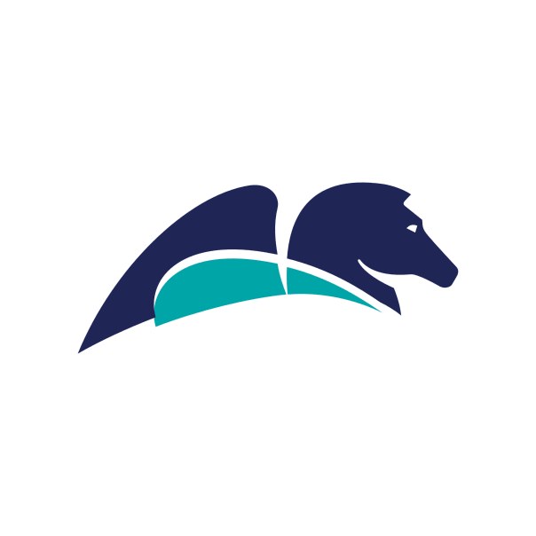 Pegasystems Inc.